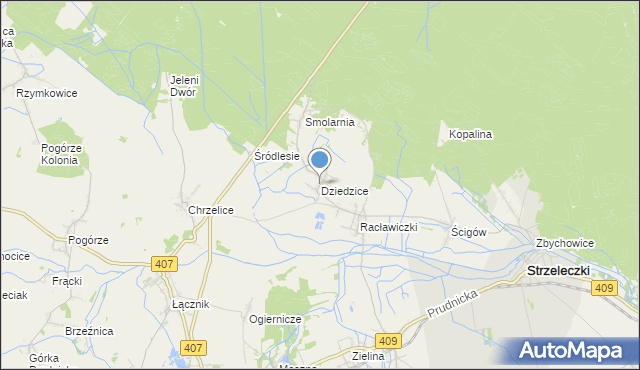 mapa Dziedzice, Dziedzice gmina Strzeleczki na mapie Targeo