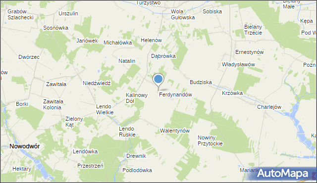 mapa Ferdynandów, Ferdynandów gmina Adamów na mapie Targeo