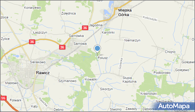 mapa Folusz, Folusz gmina Rawicz na mapie Targeo