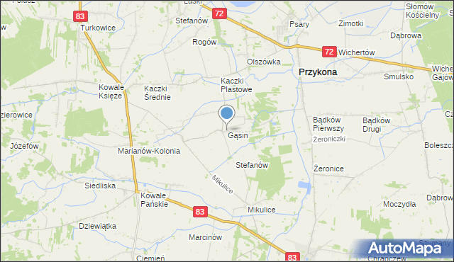 mapa Gąsin, Gąsin na mapie Targeo