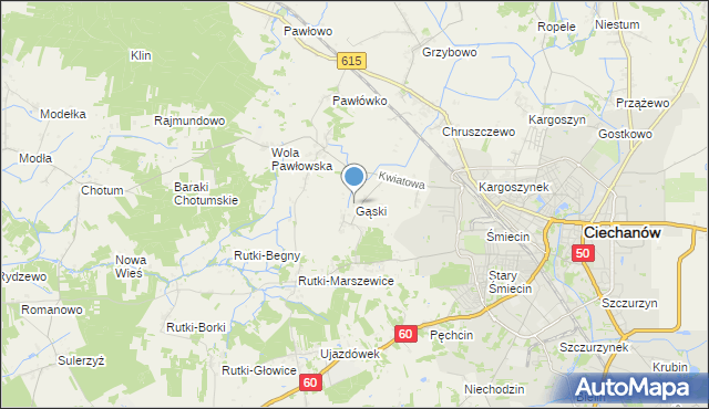 mapa Gąski, Gąski gmina Ciechanów na mapie Targeo