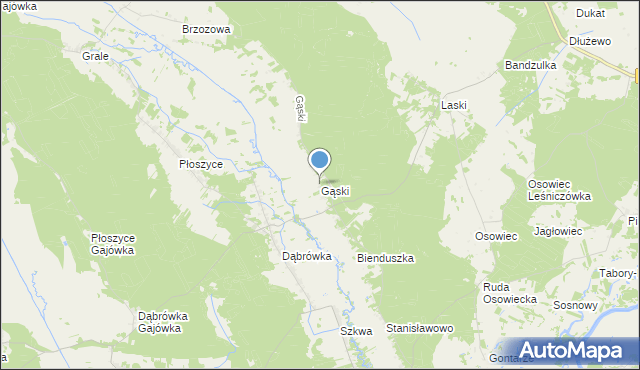 mapa Gąski, Gąski gmina Lelis na mapie Targeo