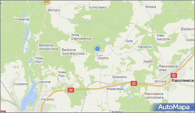 mapa Głodno, Głodno gmina Rakoniewice na mapie Targeo