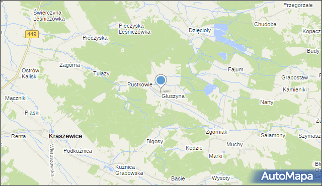 mapa Głuszyna, Głuszyna gmina Kraszewice na mapie Targeo