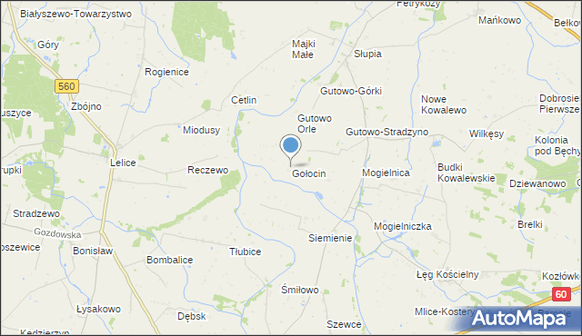 mapa Gołocin, Gołocin na mapie Targeo