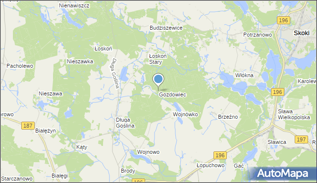 mapa Gozdowiec, Gozdowiec na mapie Targeo