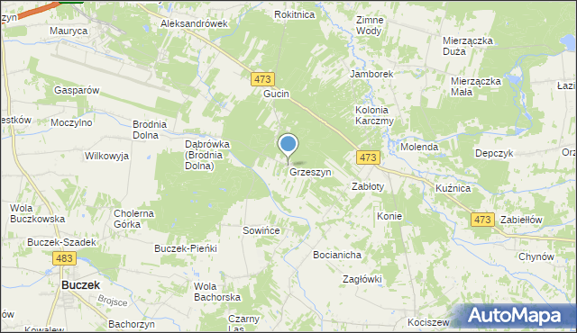 mapa Grzeszyn, Grzeszyn gmina Buczek na mapie Targeo