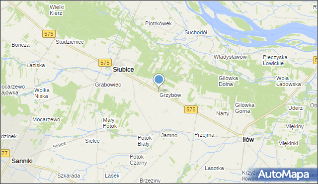 mapa Grzybów, Grzybów gmina Słubice na mapie Targeo