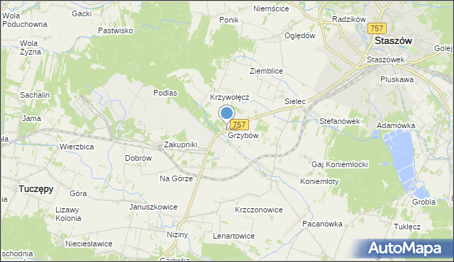 mapa Grzybów, Grzybów gmina Staszów na mapie Targeo