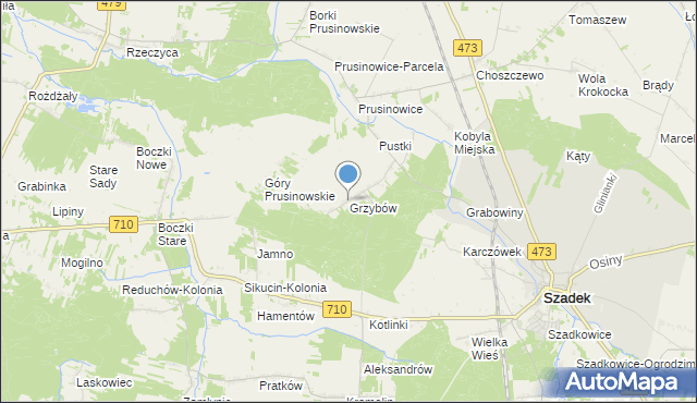 mapa Grzybów, Grzybów gmina Szadek na mapie Targeo