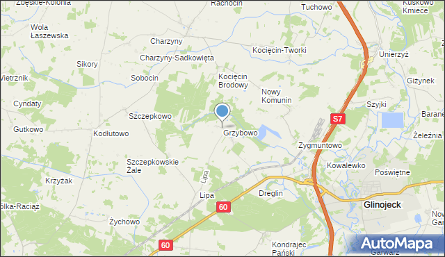 mapa Grzybowo, Grzybowo gmina Raciąż na mapie Targeo