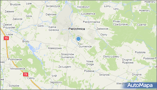 mapa Gumienice, Gumienice gmina Pierzchnica na mapie Targeo