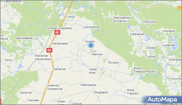 mapa Halinów, Halinów gmina Gostynin na mapie Targeo
