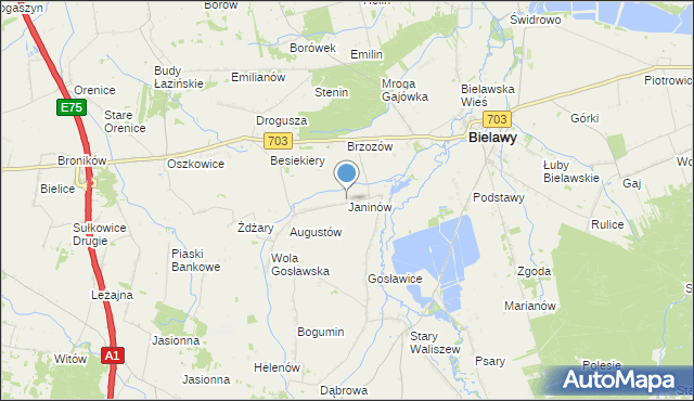 mapa Janinów, Janinów gmina Bielawy na mapie Targeo