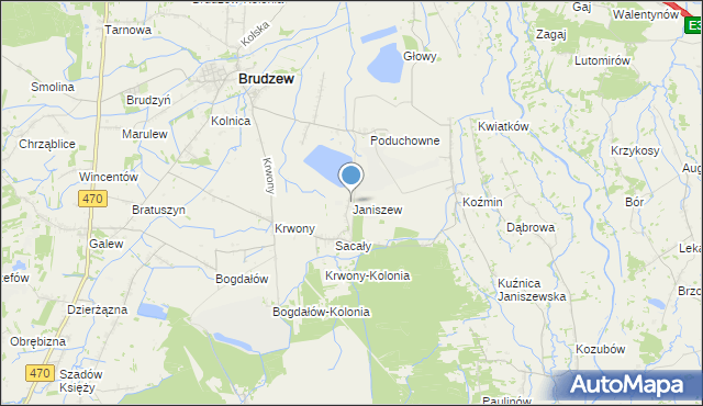 mapa Janiszew, Janiszew gmina Brudzew na mapie Targeo