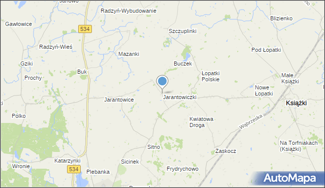 mapa Jarantowiczki, Jarantowiczki gmina Ryńsk na mapie Targeo