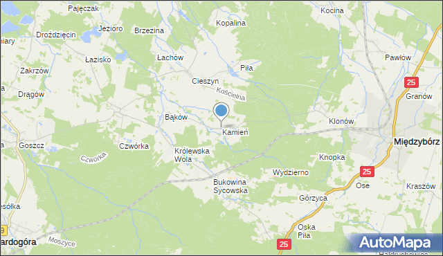 mapa Kamień, Kamień gmina Międzybórz na mapie Targeo