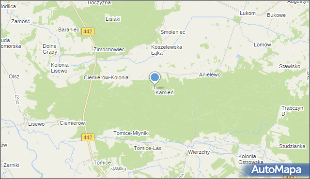 mapa Kamień, Kamień gmina Pyzdry na mapie Targeo