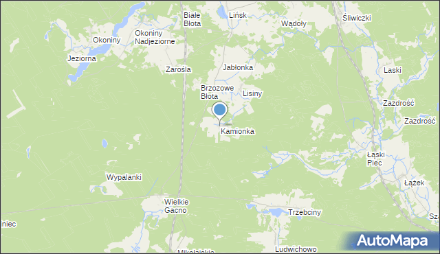 mapa Kamionka, Kamionka gmina Śliwice na mapie Targeo