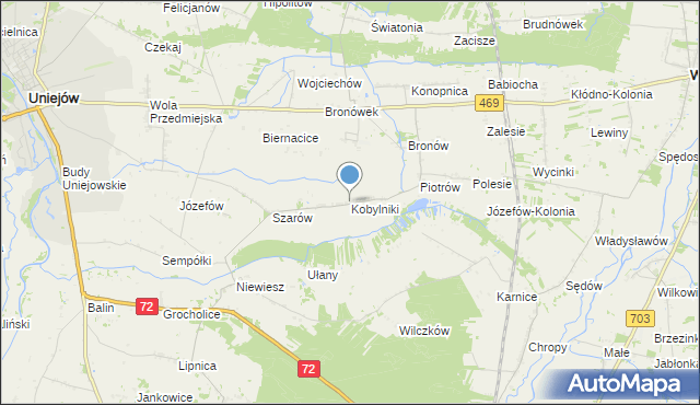 mapa Kobylniki, Kobylniki gmina Poddębice na mapie Targeo
