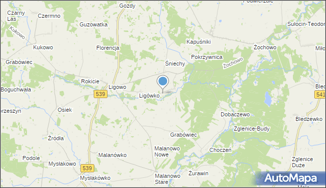 mapa Kokoszczyn, Kokoszczyn gmina Mochowo na mapie Targeo