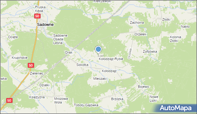 mapa Kołodziąż-Rybie, Kołodziąż-Rybie na mapie Targeo