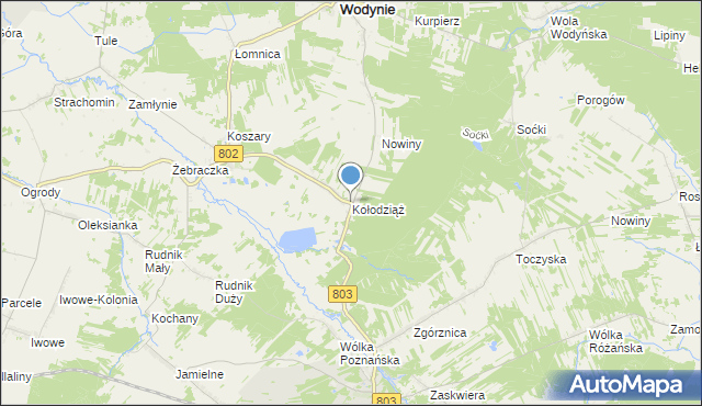 mapa Kołodziąż, Kołodziąż gmina Wodynie na mapie Targeo