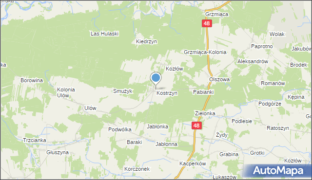 mapa Kostrzyn, Kostrzyn gmina Wyśmierzyce na mapie Targeo