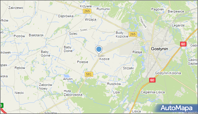mapa Kozice, Kozice gmina Gostynin na mapie Targeo