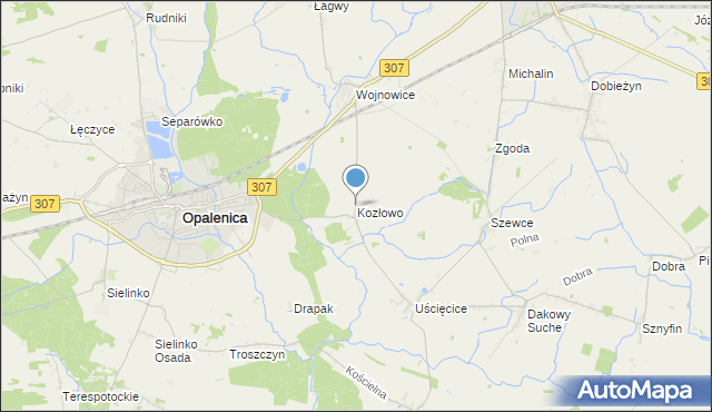 mapa Kozłowo, Kozłowo gmina Opalenica na mapie Targeo