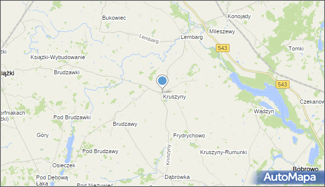 mapa Kruszyny, Kruszyny gmina Bobrowo na mapie Targeo