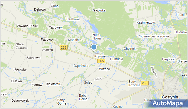 mapa Krzywie, Krzywie gmina Gostynin na mapie Targeo