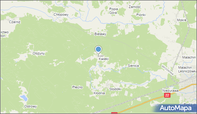 mapa Kwieki, Kwieki na mapie Targeo