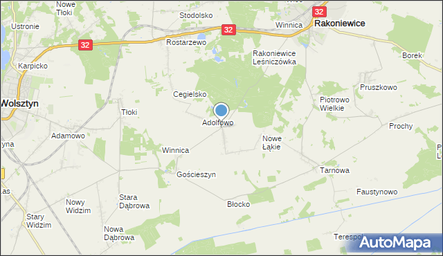 mapa Łąkie, Łąkie gmina Rakoniewice na mapie Targeo
