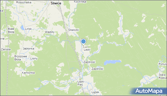 mapa Laski, Laski gmina Śliwice na mapie Targeo