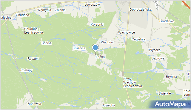 mapa Leśna, Leśna gmina Olesno na mapie Targeo