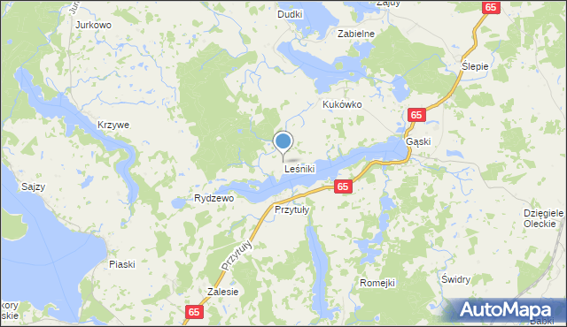 mapa Leśniki, Leśniki gmina Świętajno na mapie Targeo