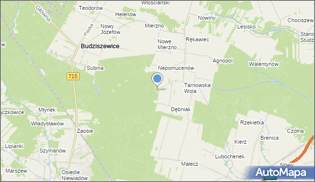 mapa Leszczyny, Leszczyny gmina Ujazd na mapie Targeo