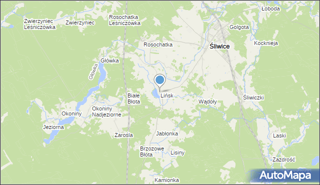 mapa Lińsk, Lińsk na mapie Targeo