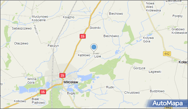mapa Lipie, Lipie gmina Miłosław na mapie Targeo