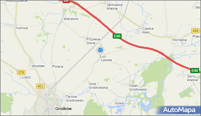 mapa Lipowa, Lipowa gmina Grodków na mapie Targeo