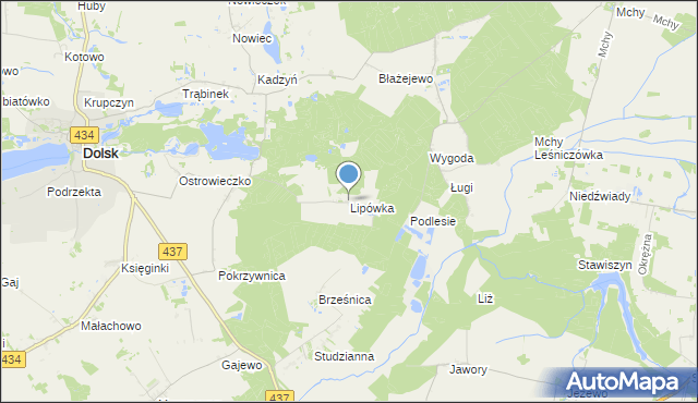 mapa Lipówka, Lipówka gmina Dolsk na mapie Targeo