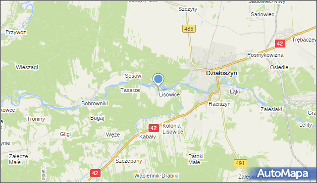 mapa Lisowice, Lisowice gmina Działoszyn na mapie Targeo
