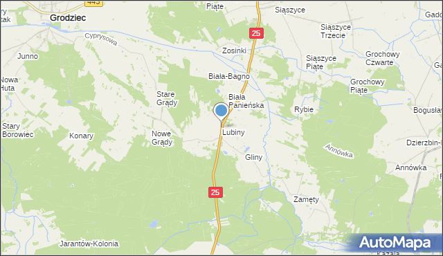 mapa Lubiny, Lubiny gmina Rychwał na mapie Targeo