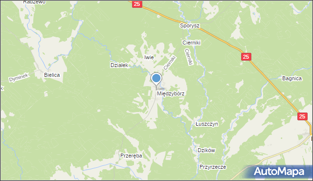 mapa Międzybórz, Międzybórz gmina Rzeczenica na mapie Targeo