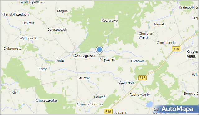 mapa Międzyleś, Międzyleś gmina Dzierzgowo na mapie Targeo
