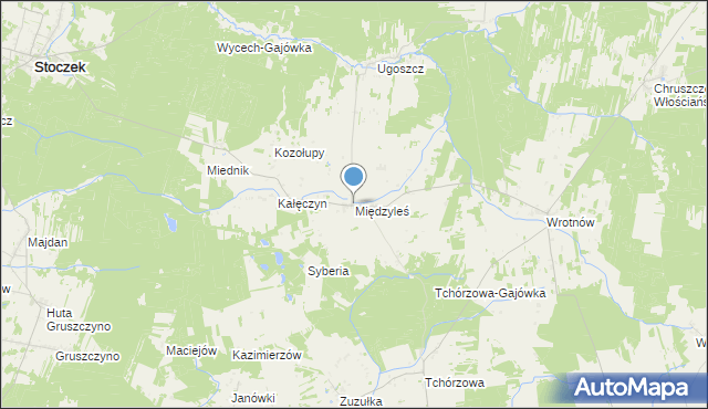 mapa Międzyleś, Międzyleś gmina Miedzna na mapie Targeo