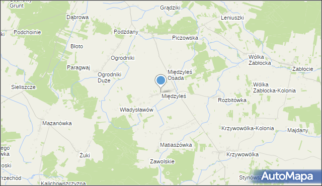 mapa Międzyleś, Międzyleś gmina Tuczna na mapie Targeo