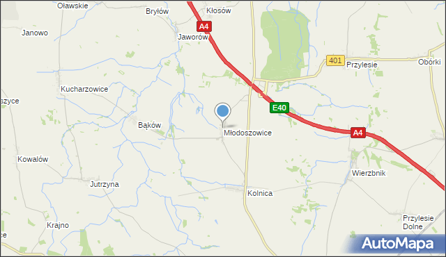 mapa Młodoszowice, Młodoszowice na mapie Targeo