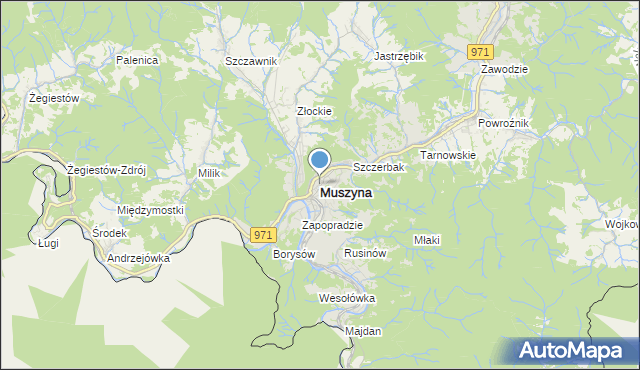 mapa Muszyna, Muszyna na mapie Targeo